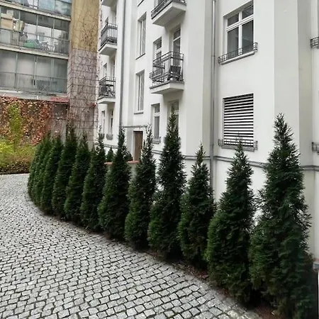 Cute Perfect For Business And Travel.